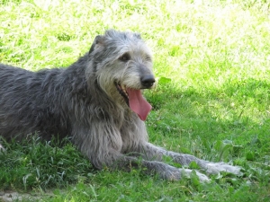 Betty