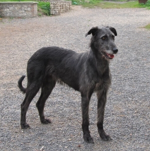 Kuska