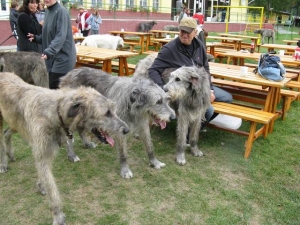 Mácháč - podzim 2008