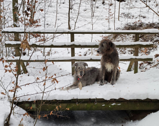 Děkujeme d&aacute;rcům - &Uacute;nor 2026