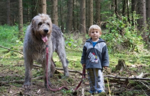 Letn&iacute; setk&aacute;n&iacute; 2017