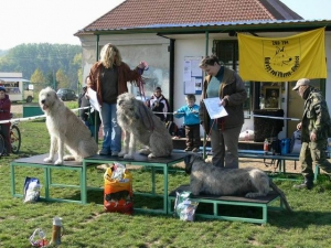 Memoriál Karla Grünwalda 2007