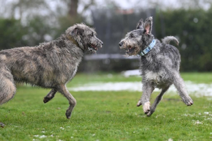 Vánoční procházka 2025