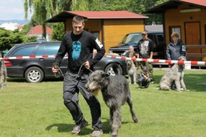 Irskému vše irské – jarní setkání 2012