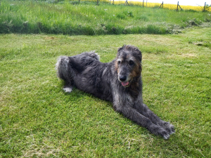 Děkujeme d&aacute;rcům - Duben 2025