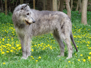 Děkujeme d&aacute;rcům - Březen 2026