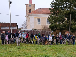 Pozvánka na tradiční vánoční procházku 2024