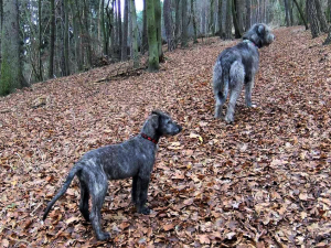 Děkujeme d&aacute;rcům - Listopad 2025