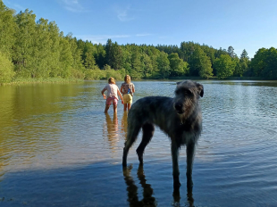 POZV&Aacute;NKA na v&iacute;kend s vlkodavy 2026