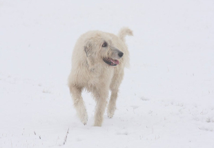 Děkujeme d&aacute;rcům - Prosinec 2025
