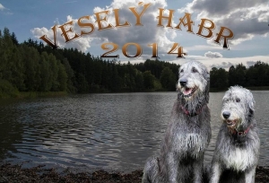 Letn&iacute; setk&aacute;n&iacute; 2014