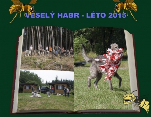 Letní setkání NFIV ve Veselém Habru 2015