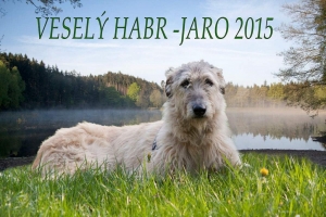 Jarní setkání NFIV ve Veselém Habru 2015