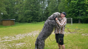 Setk&aacute;n&iacute; v kempu Vesel&yacute; Habr 2025