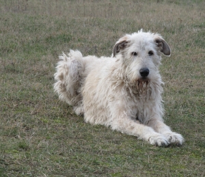Annie