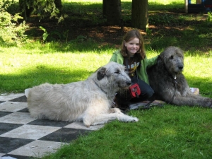 Klubová výstava WDK na Konopišti 2010