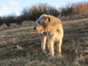 Děkujeme dárcům - Říjen 2025