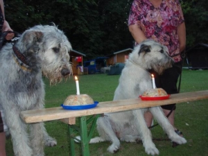 Letní setkání v Oseku u Duchcova 2011