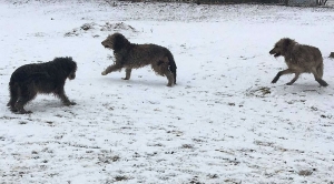 Děkujeme d&aacute;rcům - Prosinec 2017