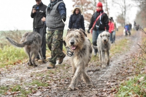 Předvánoční procházka 2015