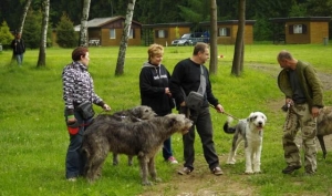 Irsk&eacute;mu v&scaron;e irsk&eacute; - jarn&iacute; setk&aacute;n&iacute; ve Vesel&eacute;m Habru 2013