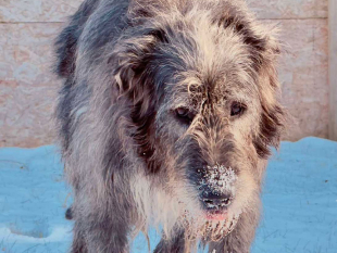 Děkujeme d&aacute;rcům - Leden 2026