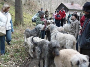 Druhé aprílové setkání na Kocábě - 2012