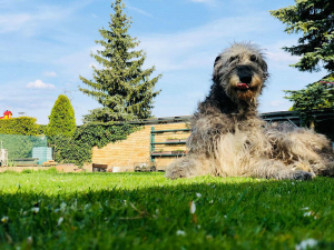 Několik fotografií Adinky
