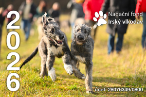 Kalend&aacute;ře na rok 2026 &ndash; n&aacute;stěnn&yacute; a stoln&iacute;